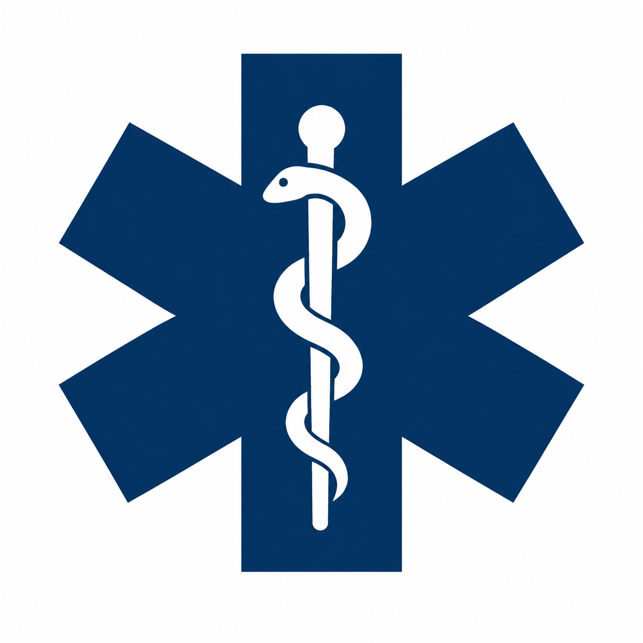 navy star of life